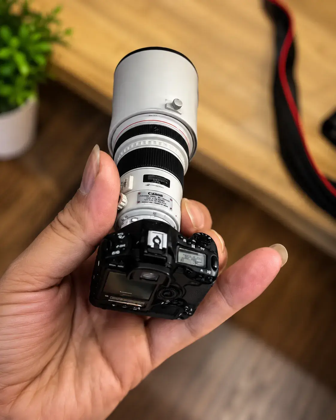 Canon DSLR Camera with Telephoto Lens